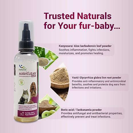 Natural Audiclean