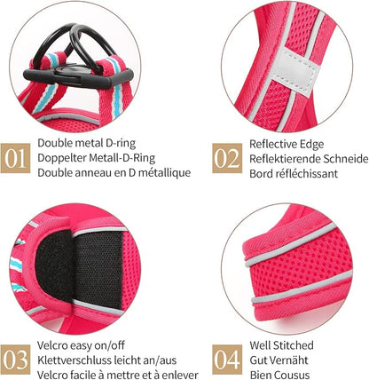 Cat Harness