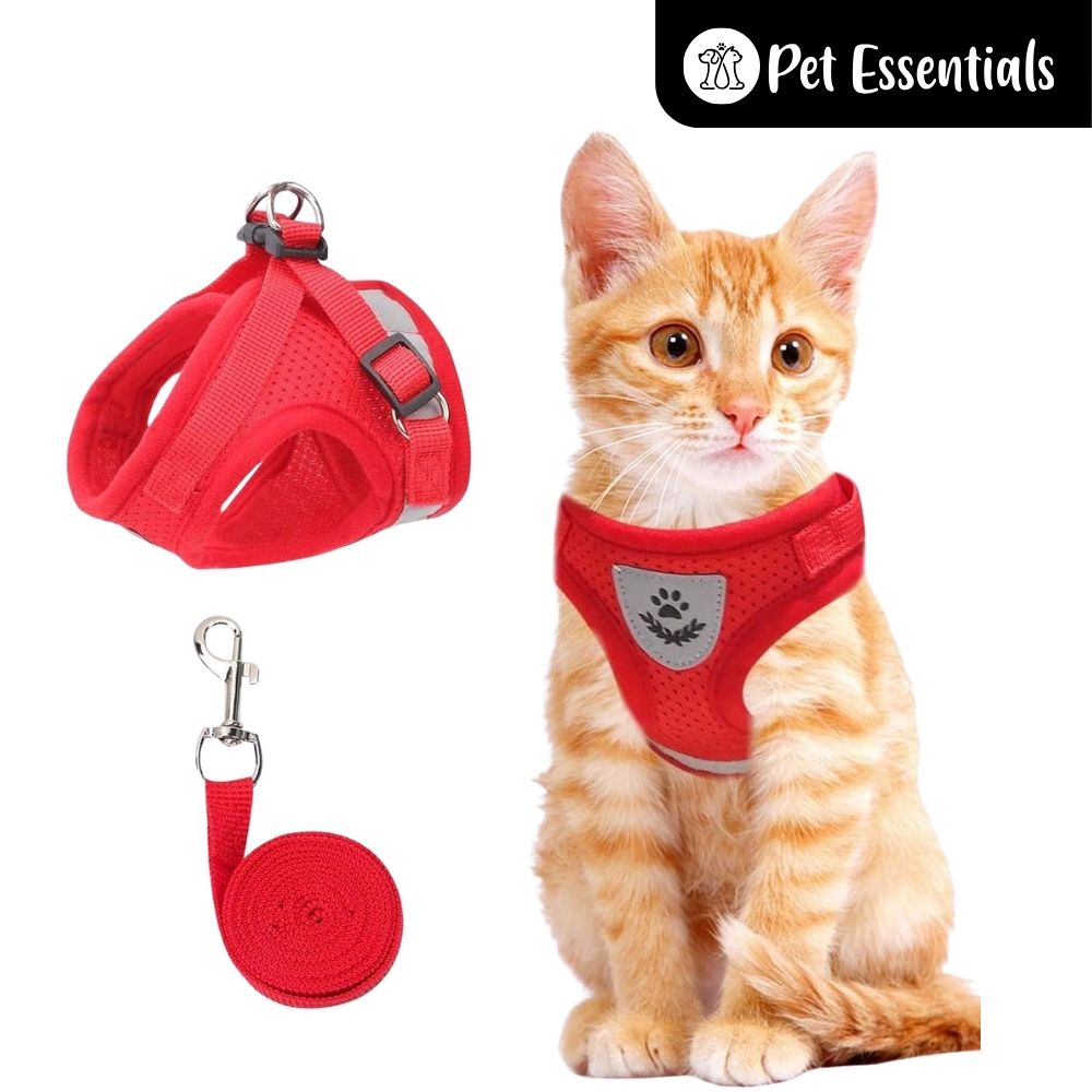 Cat Harness With Leash