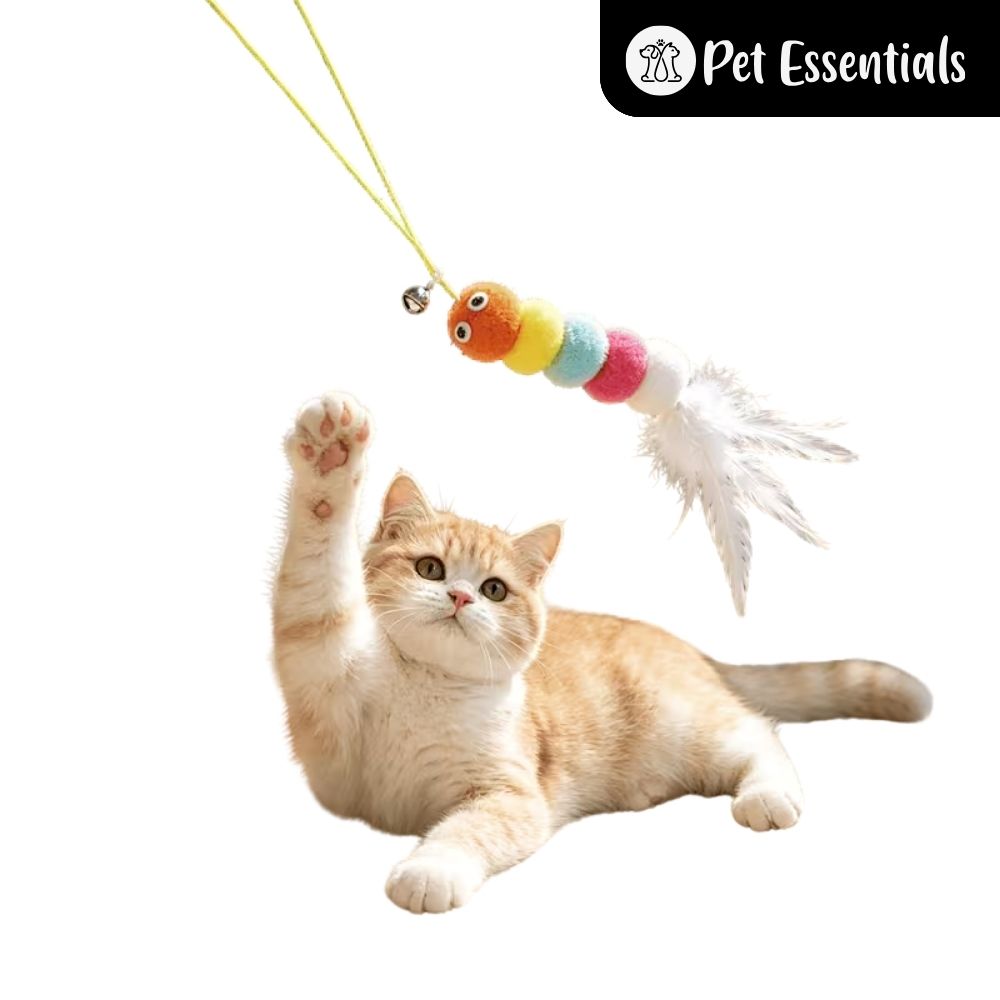Cat Toy 3