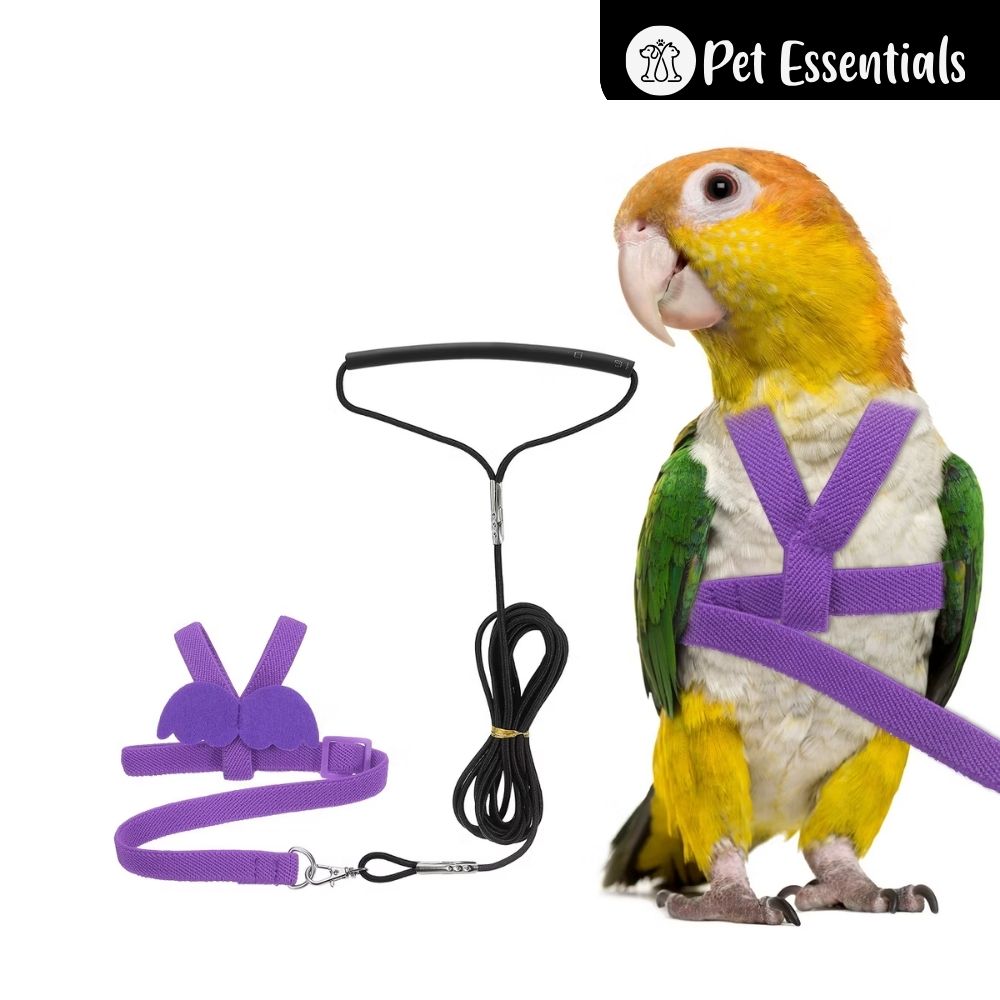 Bird Harness With Leash
