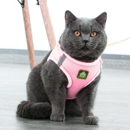 Cat Harness