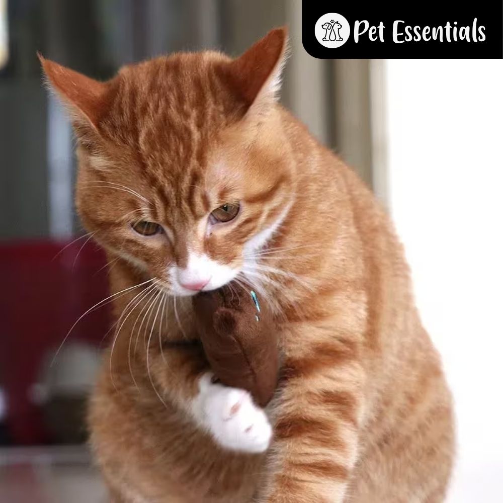Cat Wool Toy