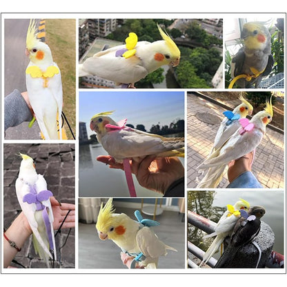 Bird Harness With Leash