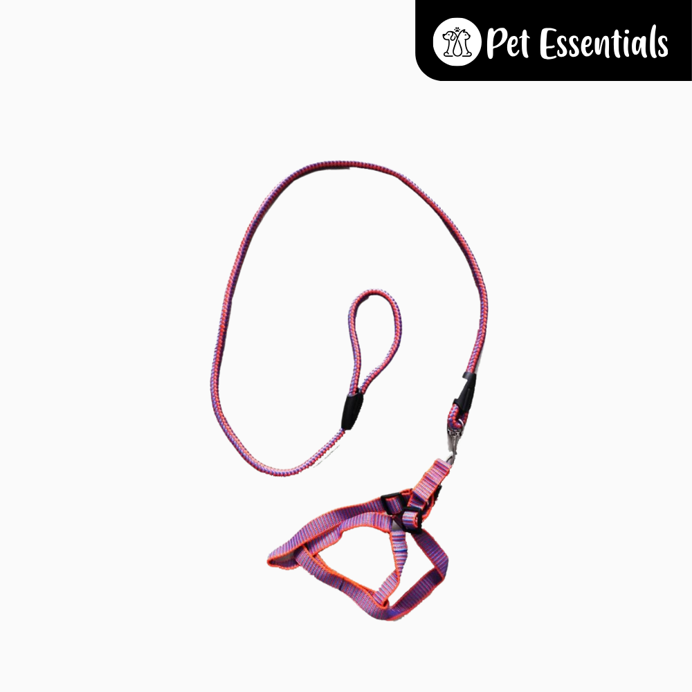 Adjustable Dog Harness and Leash
