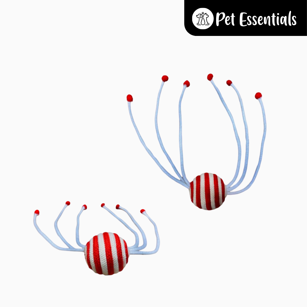 Cat Toy 1