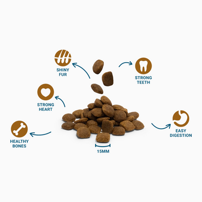 Divinus Performance Dog Dry Food