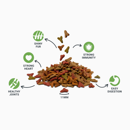 Divinus Cat Complete Dry Food