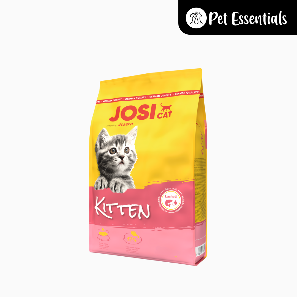 JOSICAT KITTEN