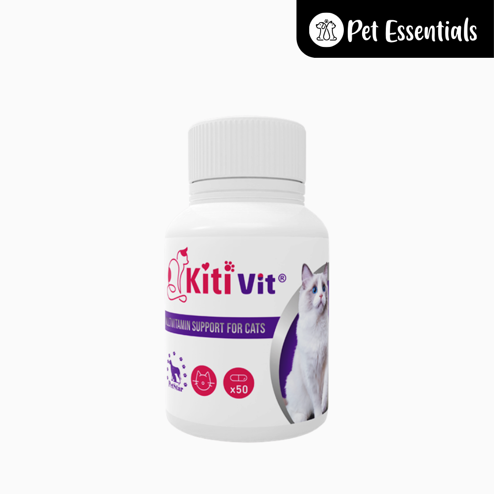 Kiti Vit