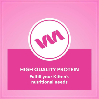 Let's Bite Active Kitten (Buy One Get One Free)