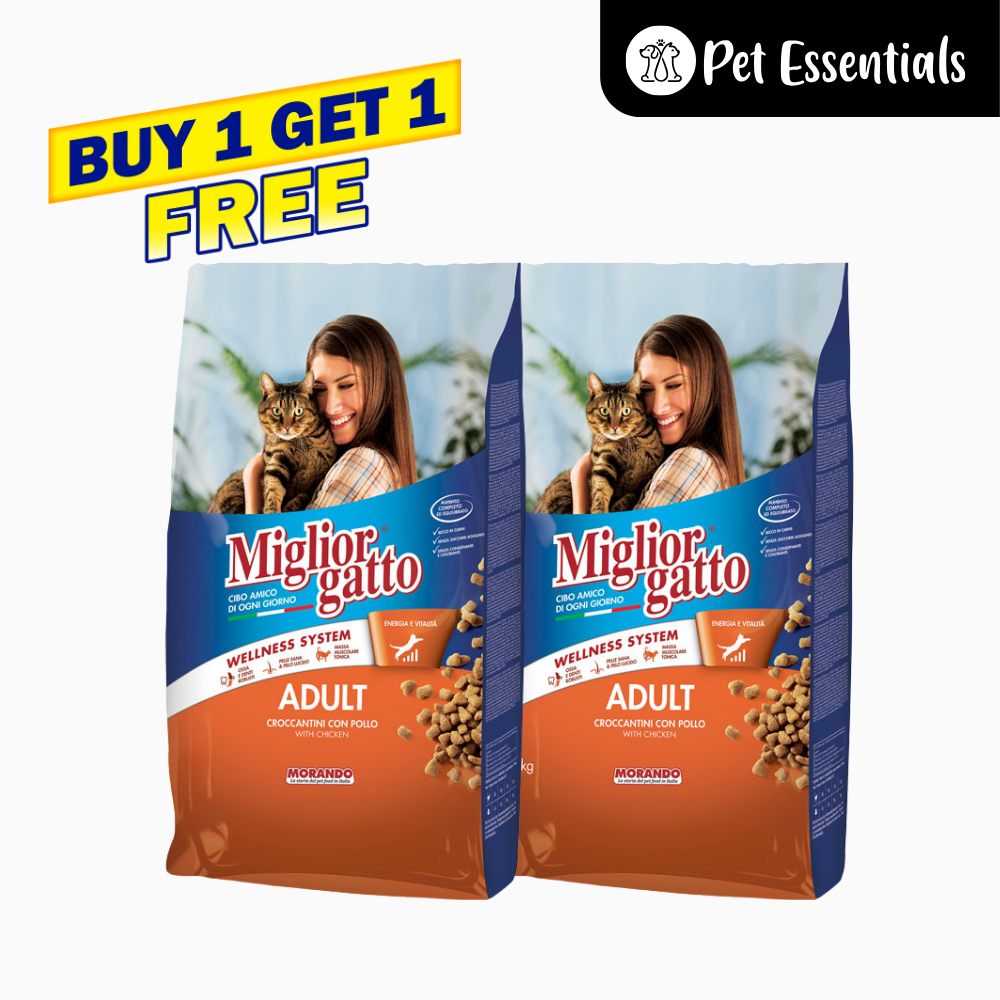 Morando adult cat chicken (Buy One Get One Free)