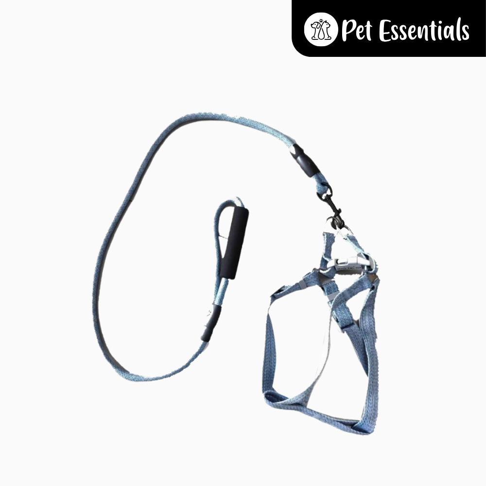 Nylon Dog Harness and Leash 2-in-1
