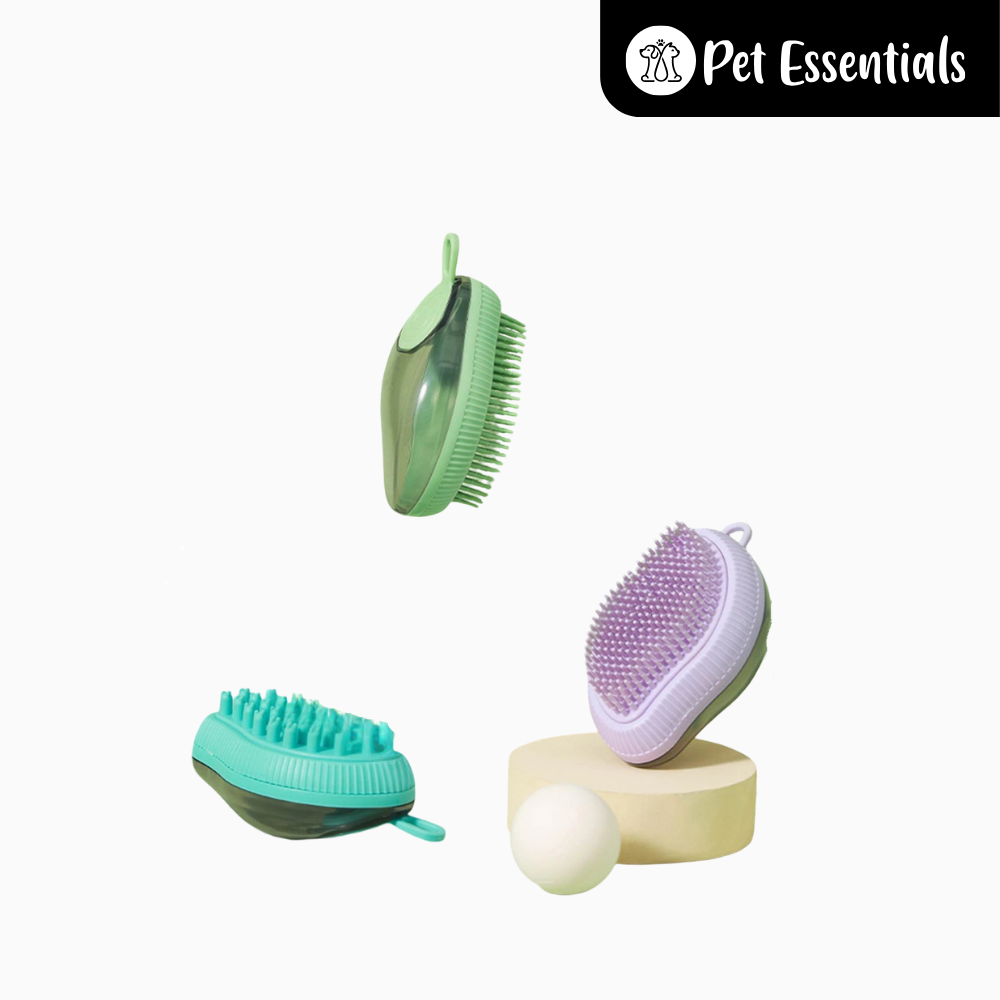 Refillable Bath Brush