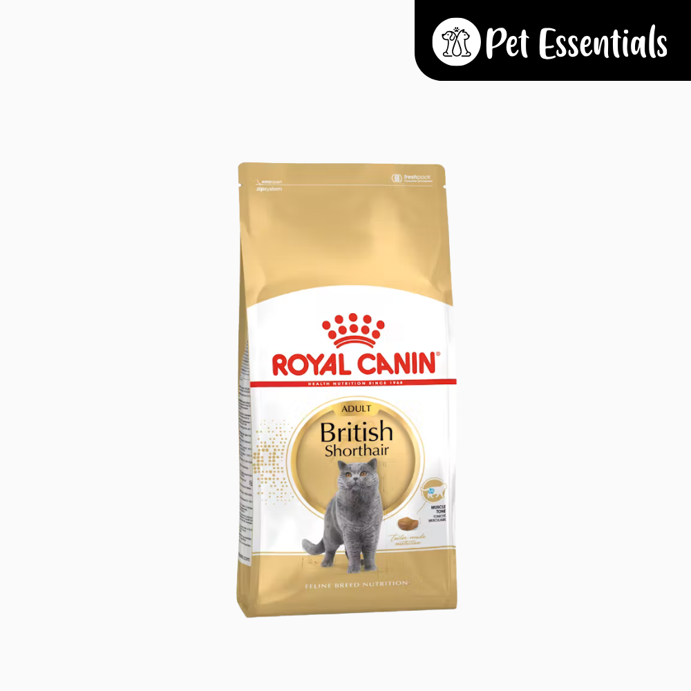 Royal Canin British Shorthair Adult Dry