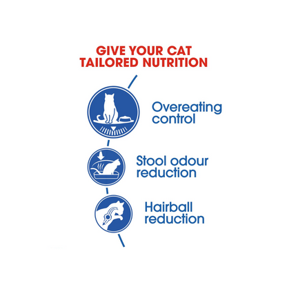Royal Canin Indoor Adult Dry Cat Food