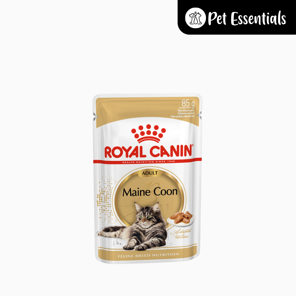 Royal Canin Maine Coon Adult Wet