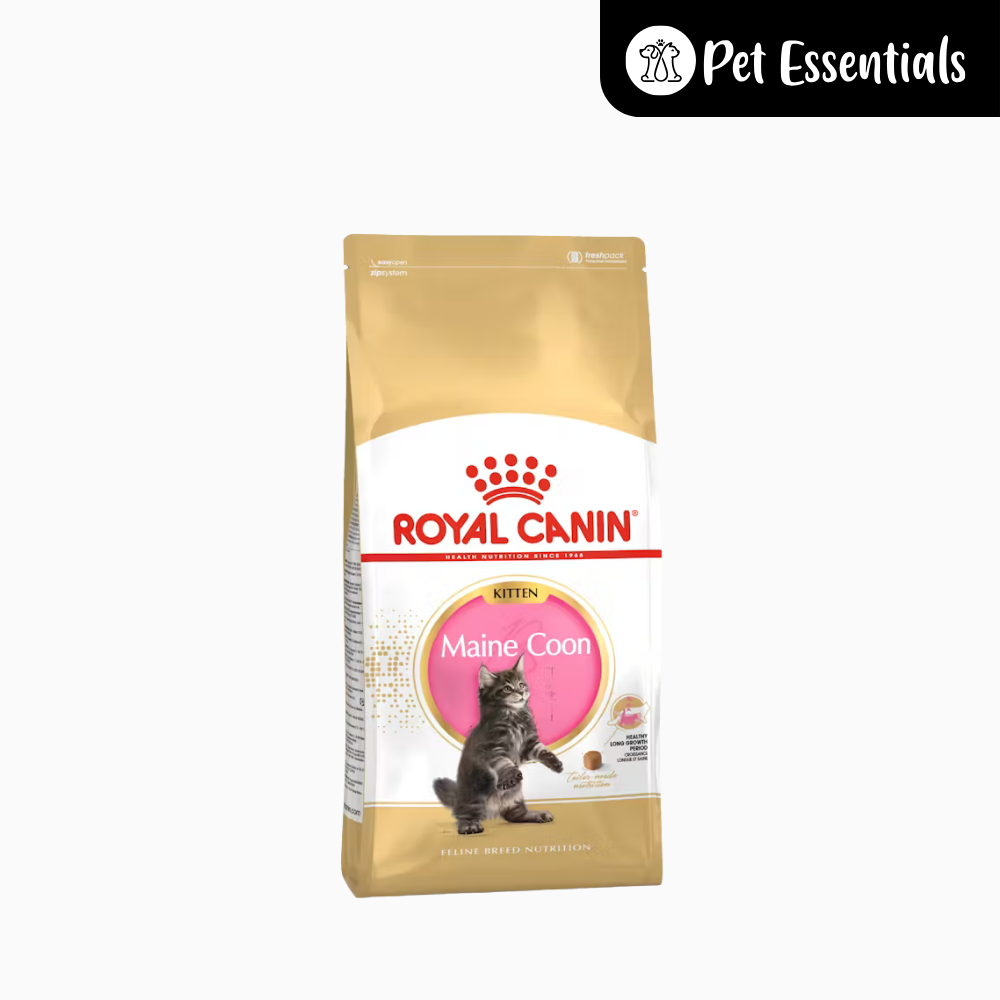 Royal Canin Maine Coon Kitten Dry