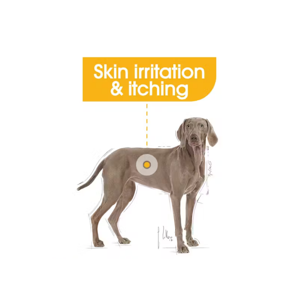 Royal Canin Maxi Dermacomfort