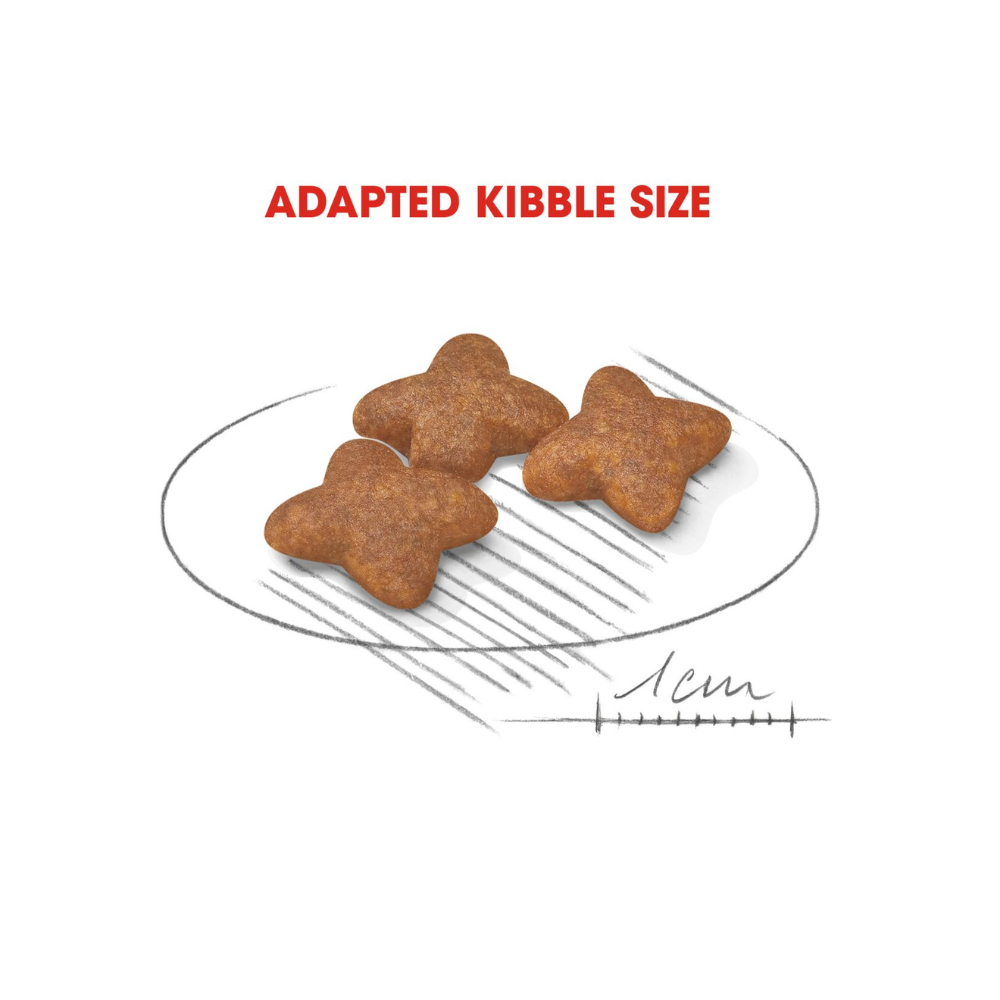 Royal Canin Mini Adult