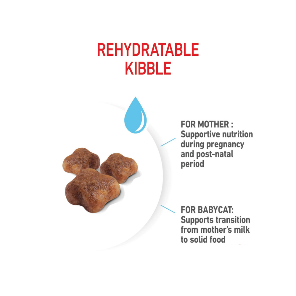 Royal Canin Mother & Baby Cat Dry