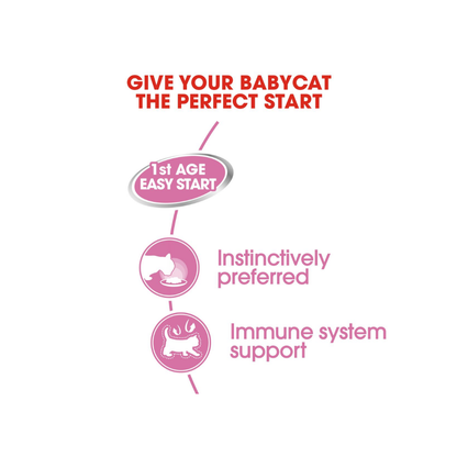 Royal Canin Mother & Babycat Ultra Soft Mousse