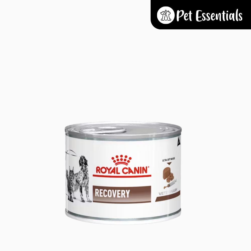 Royal Canin Recovery Wet