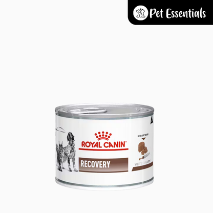 Royal Canin Recovery Wet