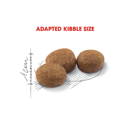 Royal Canin Regular Sterilised 37