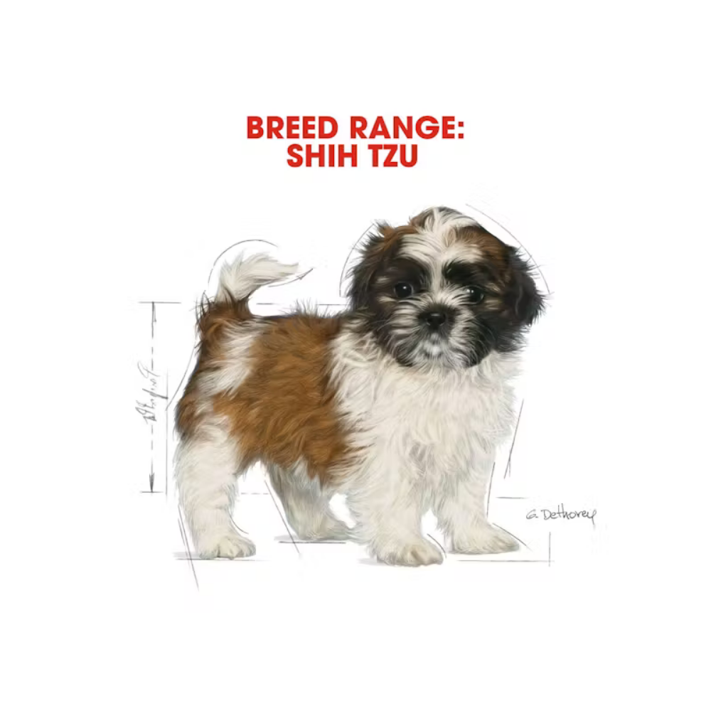 Royal Canin Shih Tzu Puppy