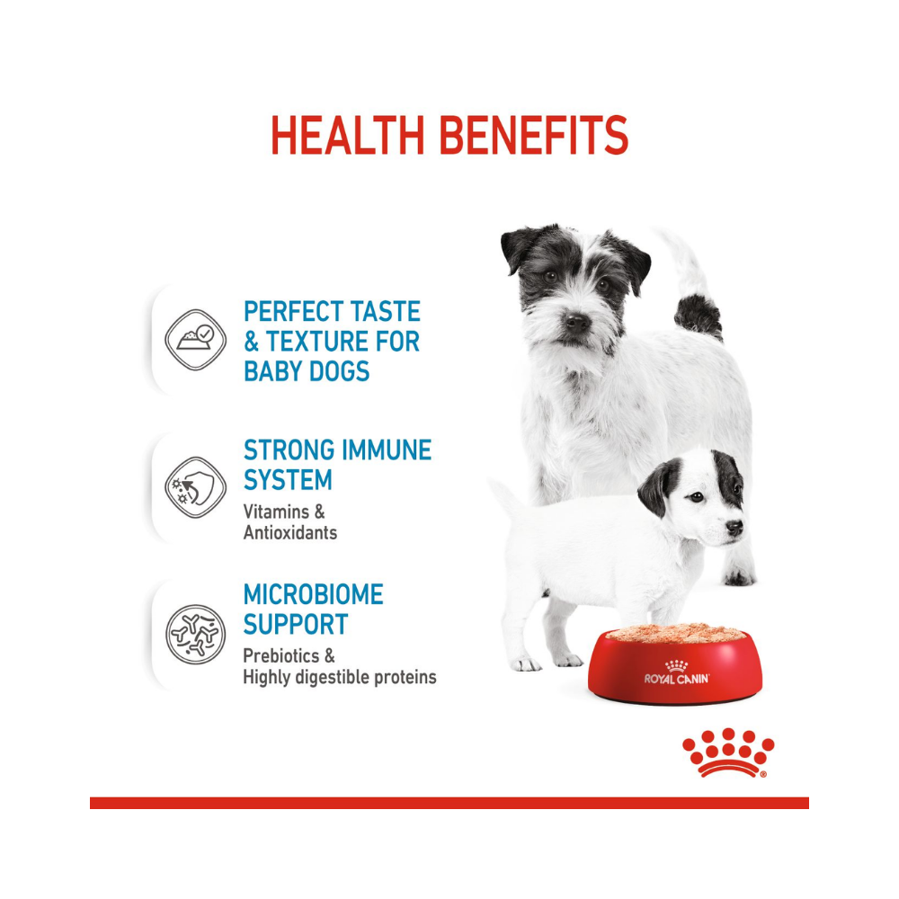 Royal Canin Starter Mousse Mother & Baby
