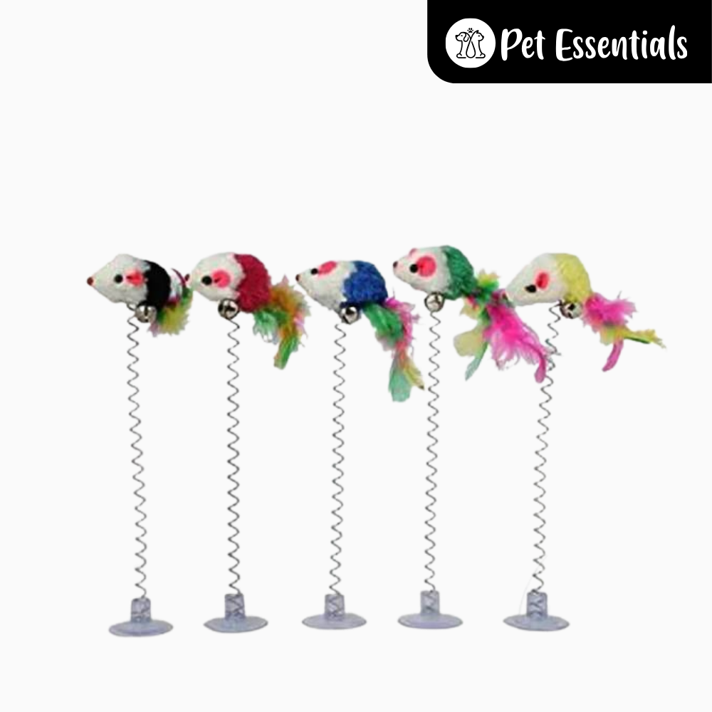 Spring Toy For Cats