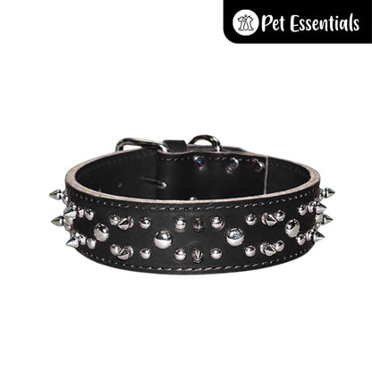Studded Leather Dog Collar