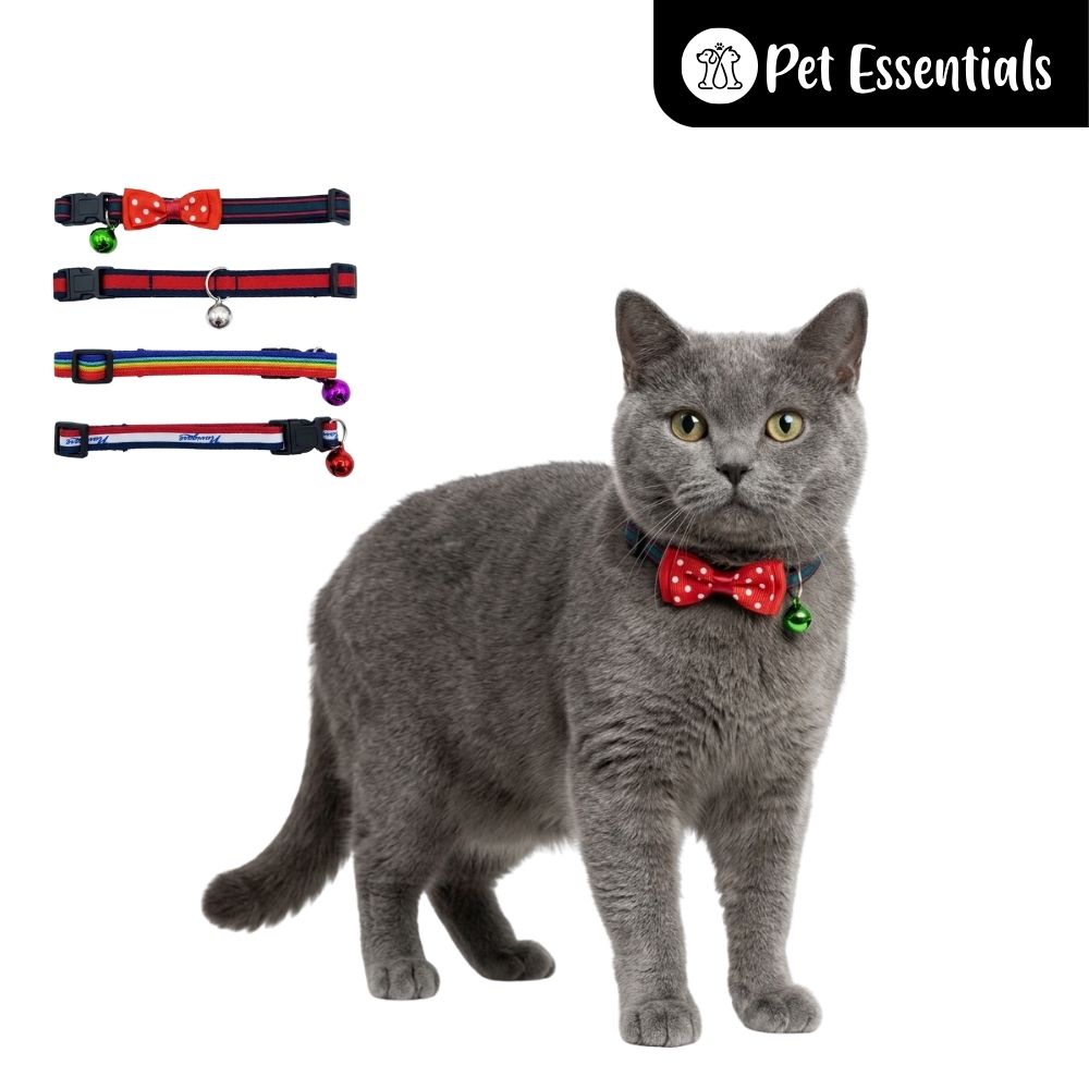 Cat Collar -1
