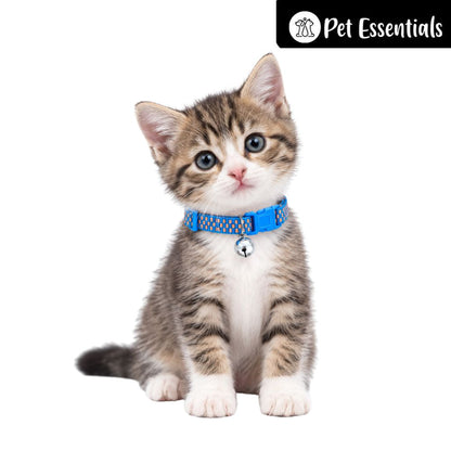 Breakway Cat Collar With Bell New