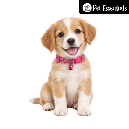 Breakway Cat Collar With Bell New