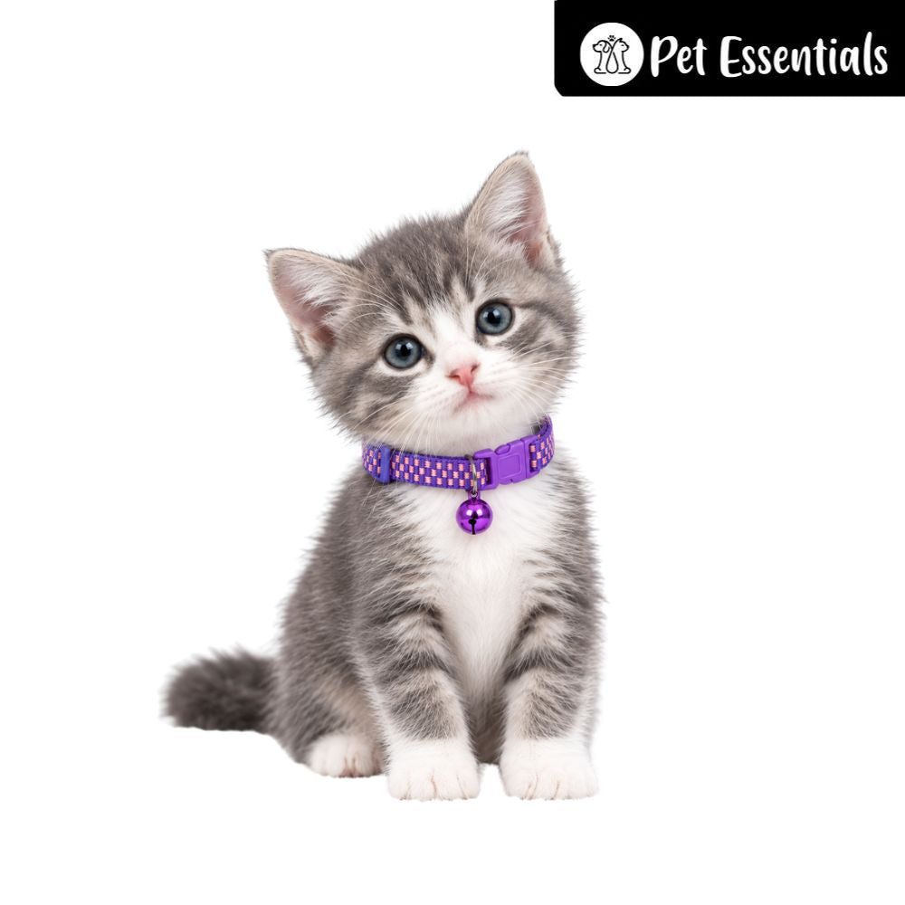 Breakway Cat Collar With Bell New