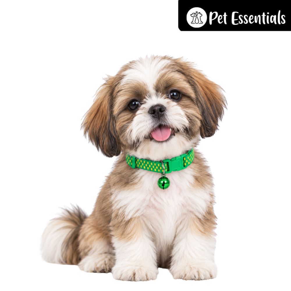 Breakway Cat Collar With Bell New