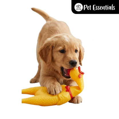 Chicken Squeezy Toy For Dogs