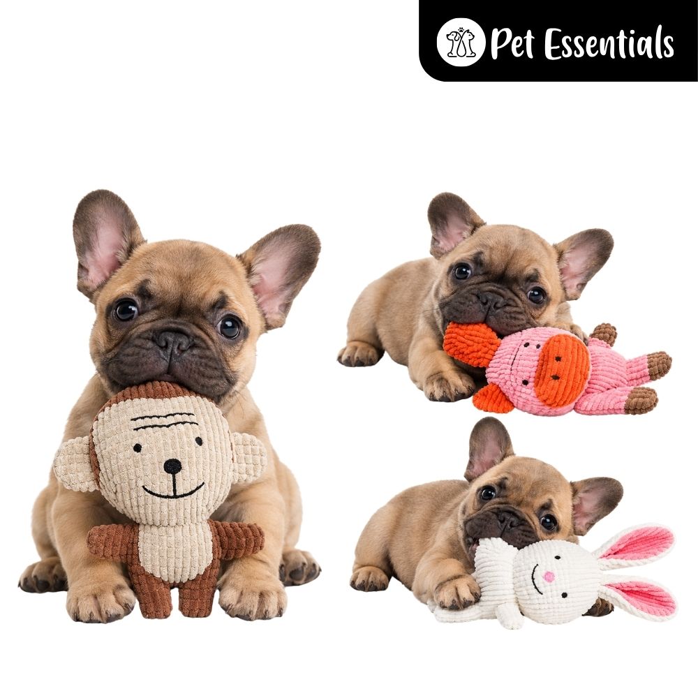 Squeaky Pet Toys ( 170 - 10 )