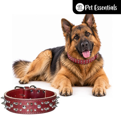 Studded Leather Dog Collar