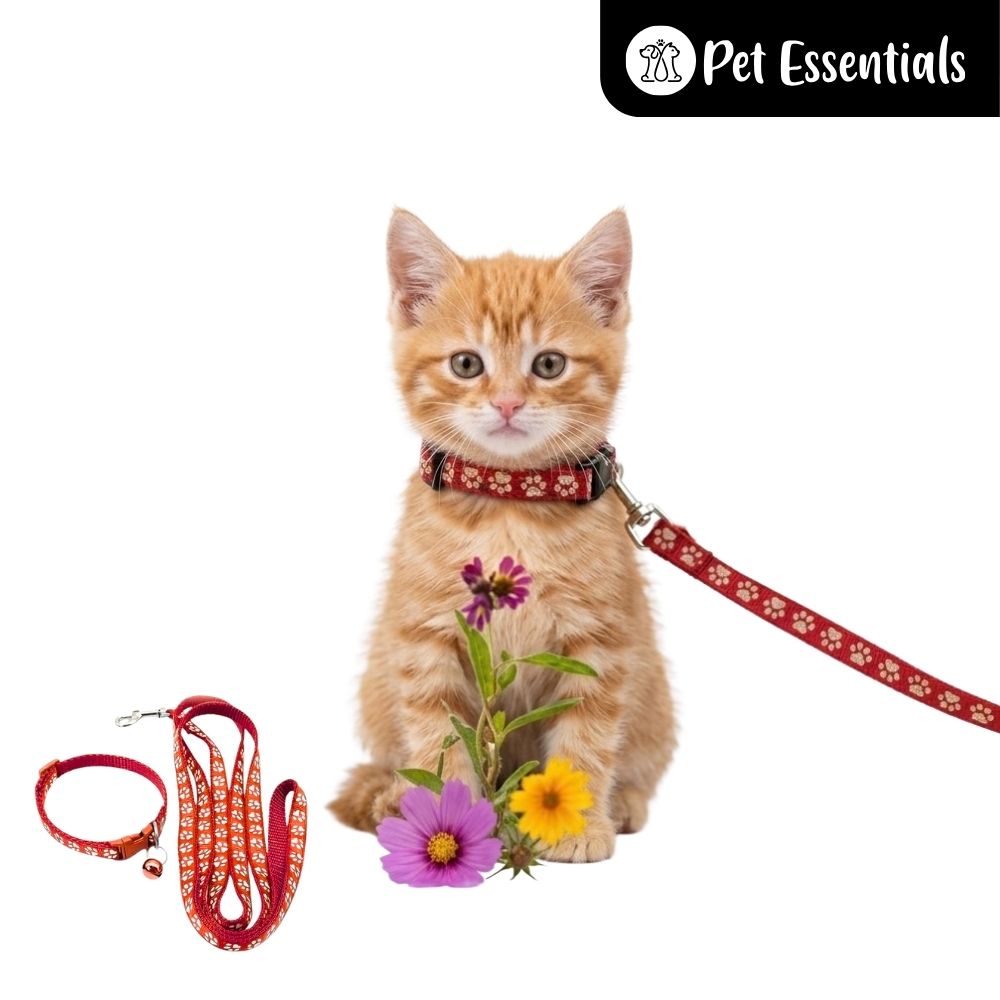 Printed Cat Leash With Collar