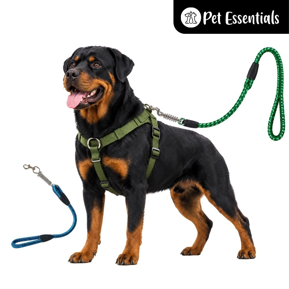 Heavy Duty Short Dog Leash With Spring