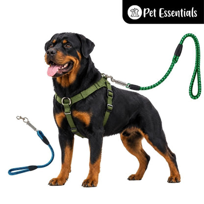 Heavy Duty Short Dog Leash With Spring