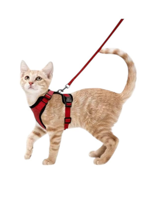Cat Harness With Leash