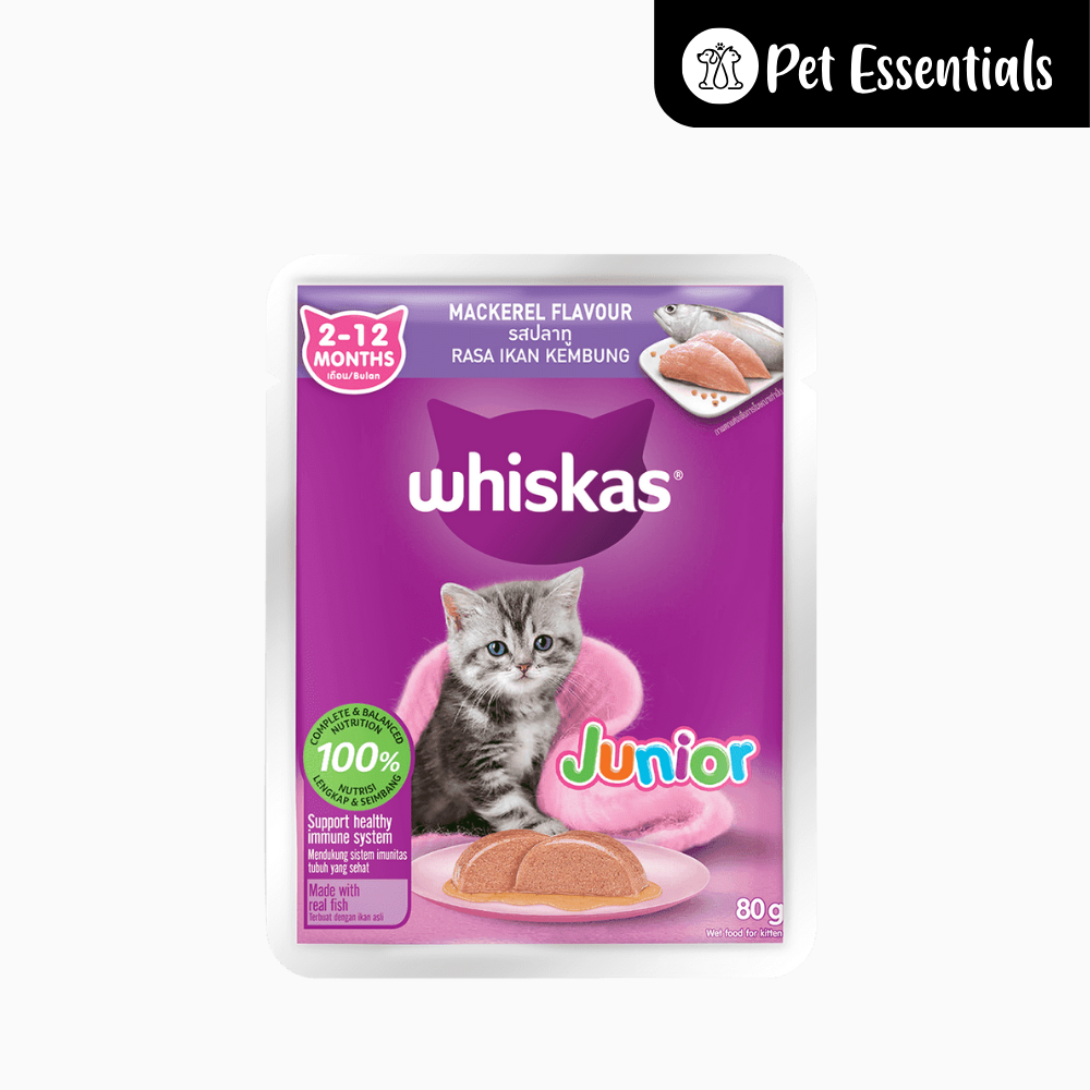 whiskas wet food junior 2-12 months 80g