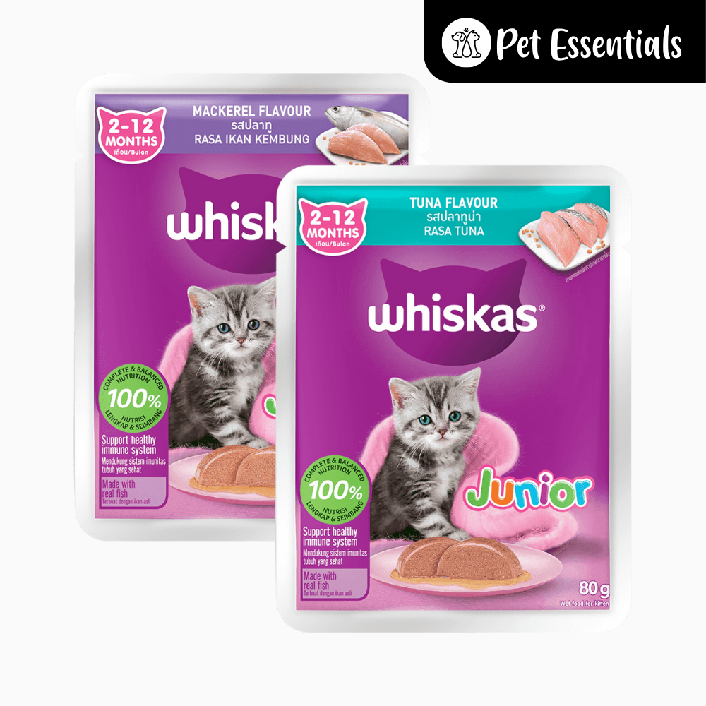 whiskas wet food junior 2-12 months 80g